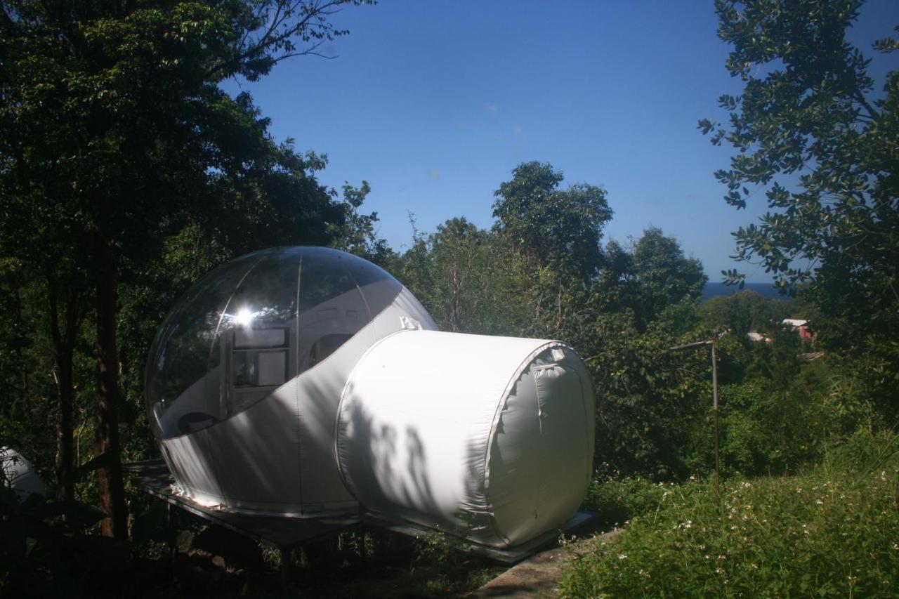 Maisons Bulles Deluxe 호텔 부이영뜨 외부 사진